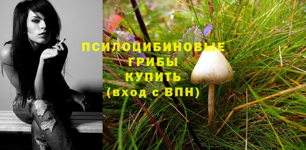 ГАЛЛЮЦИНОГЕННЫЕ ГРИБЫ Хадыженск