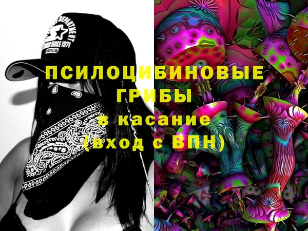 СК Горняк