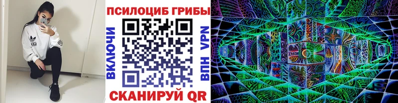 Псилоцибиновые грибы Cubensis Светлоград